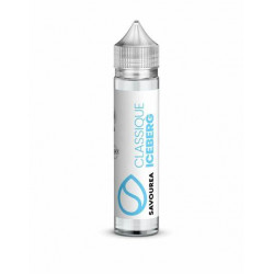 60ml Iceberg + booster